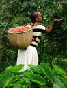 ETHIOPIA Sidamo Yirgacheffe G2 *Best Seller*