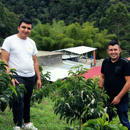 COLOMBIA Huila Finca El Diviso - [WBC 2023 Cup Winner] G1 Premium