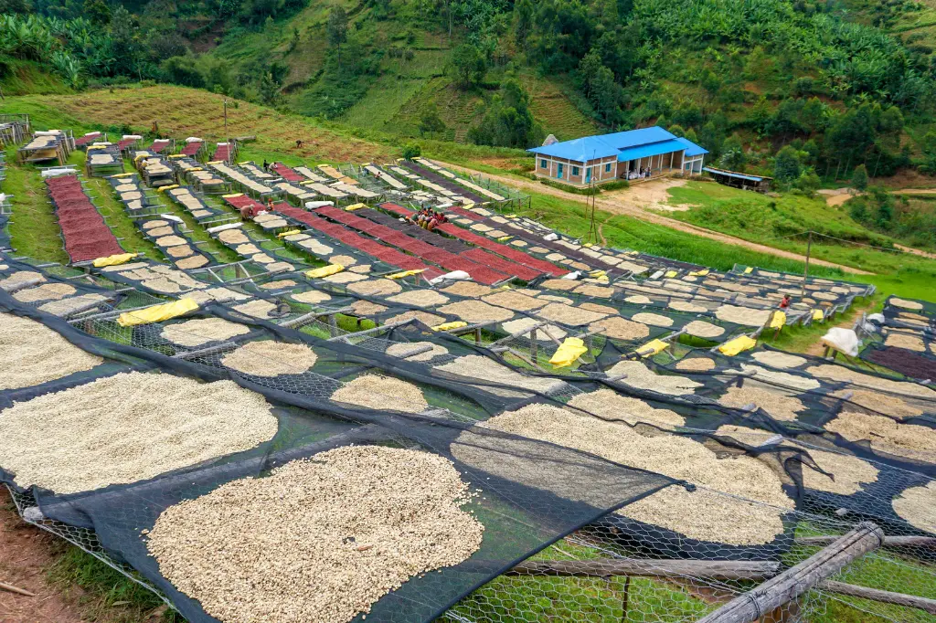 BURUNDI Kirundo Kiyonza G1