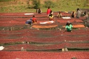 BURUNDI Kirundo Kiyonza G1