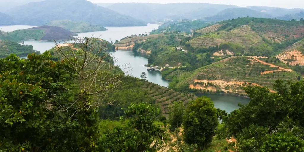 VIETNAM Lâm Đồng Blend - 80% Bảo Lộc Robusta / 20% Cầu Đất Arabica