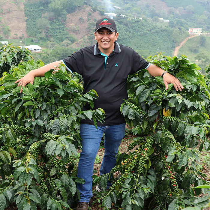 🌹 COLOMBIA Huila Finca Monteblanco Geisha G1 PREMIUM