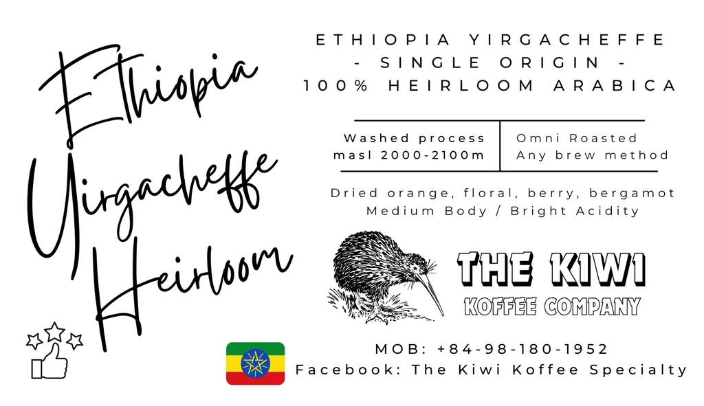 🪇 ETHIOPIA Sidamo Yirgacheffe Heirloom G2 *Best Seller*