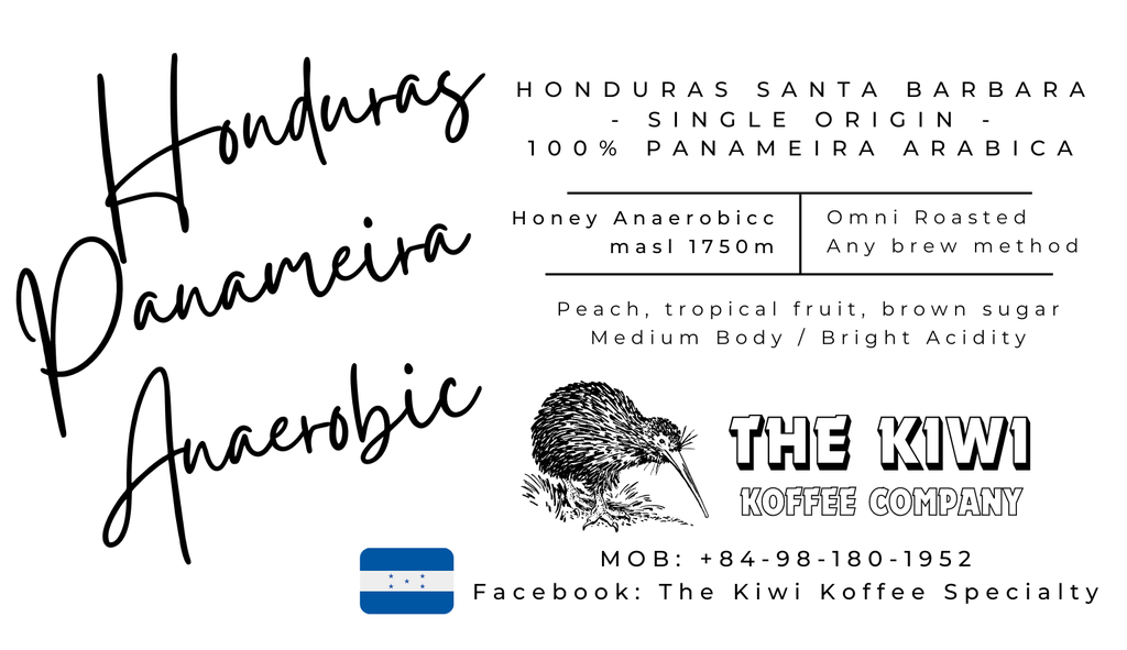 🫐 HONDURAS Santa Barbara Parainema Anaerobic [4th Place 2022 WBC] G1
