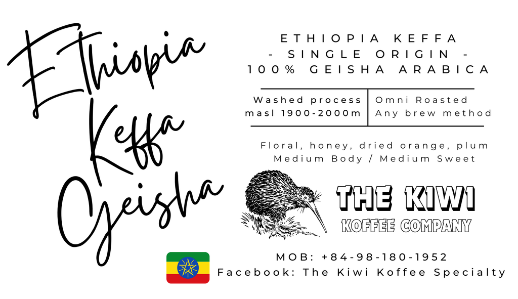 🍊 ETHIOPIA Keffa Geisha Washed G1