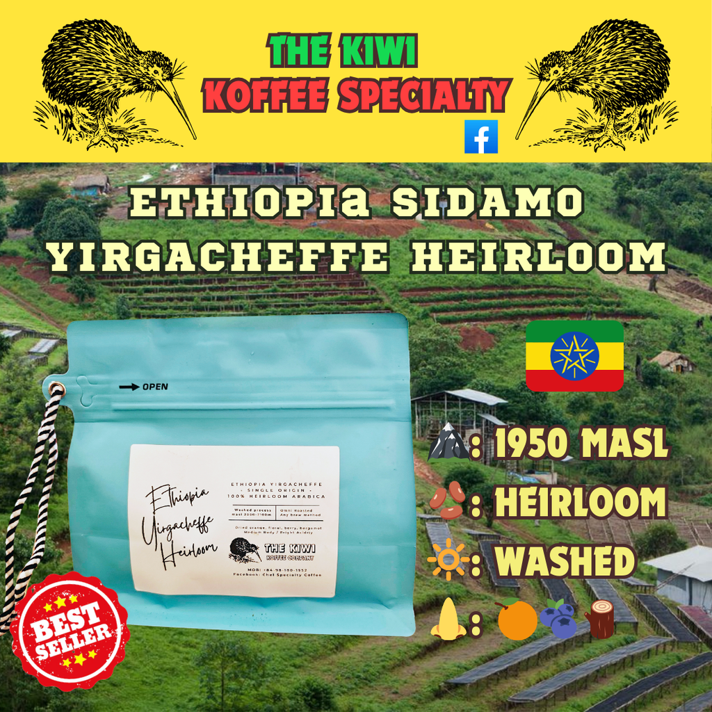 🪇 ETHIOPIA Sidamo Yirgacheffe Heirloom G2