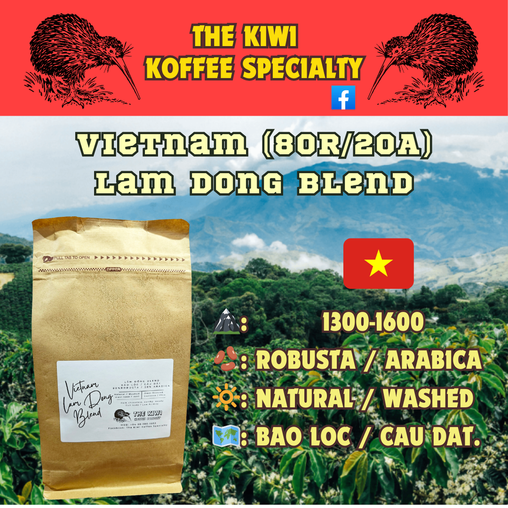 🪷VIETNAM Lâm Đồng Blend - 80% Bảo Lộc Robusta / 20% Cầu Đất Arabica (500gr)