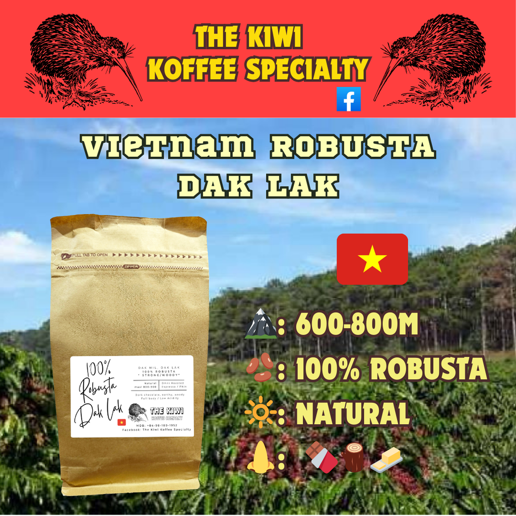 🪵 100% Robusta Dak Lak Natural (500GR)