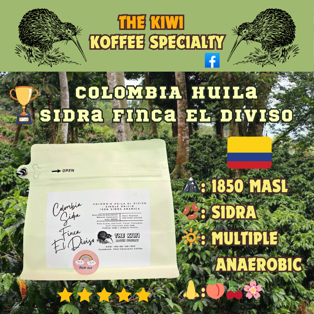 🏆 COLOMBIA Huila Sidra Finca El Diviso G1 PREMIUM [WBC 2022 Winner]