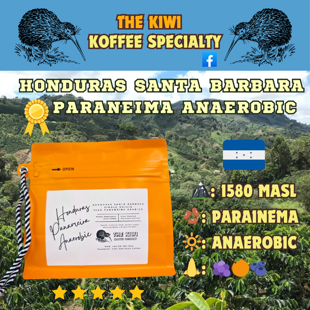 🫐 HONDURAS Santa Barbara Parainema Anaerobic G1 [4th Place 2022 WBC] 🏅