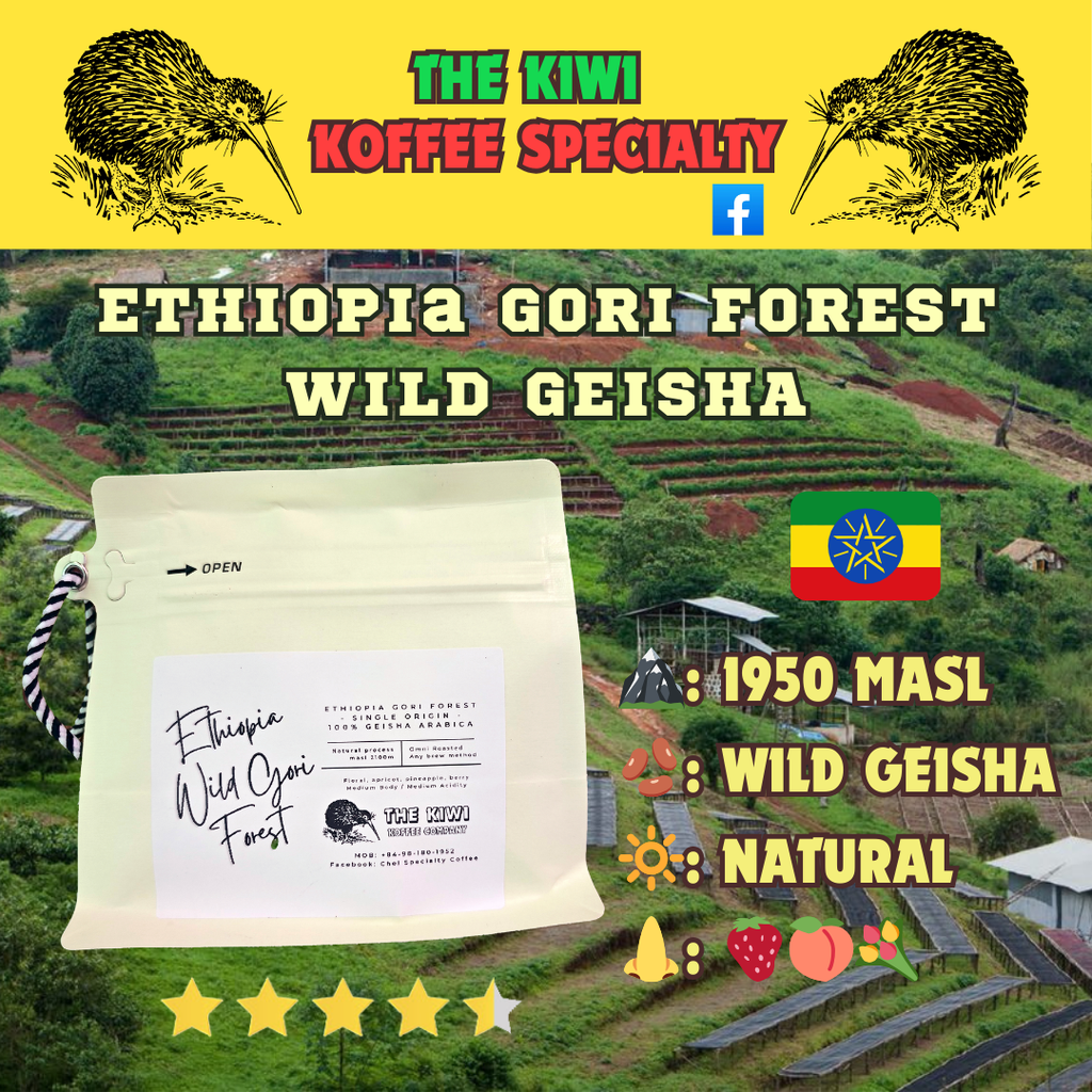 🍓 ETHIOPIA Wild Gori Forest Geisha G1