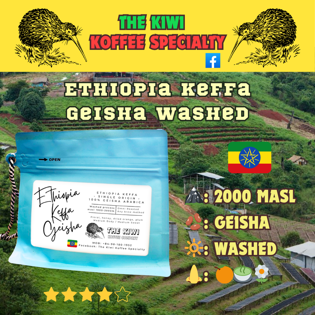 🍊 ETHIOPIA Keffa Geisha Washed G1